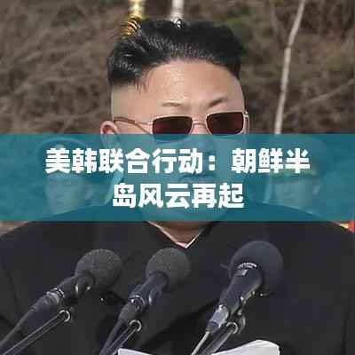 美韩联合行动：朝鲜半岛风云再起