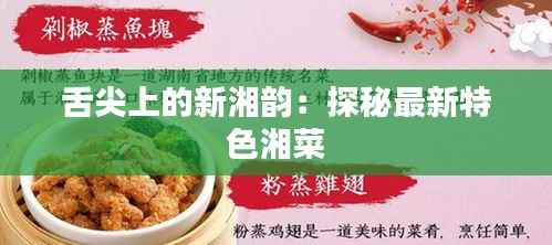 舌尖上的新湘韵：探秘最新特色湘菜