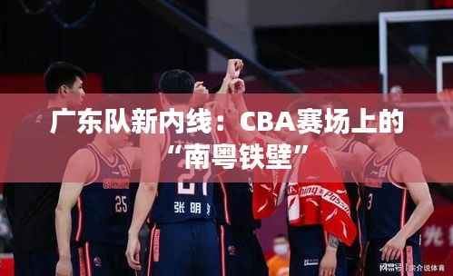 广东队新内线：CBA赛场上的“南粤铁壁”