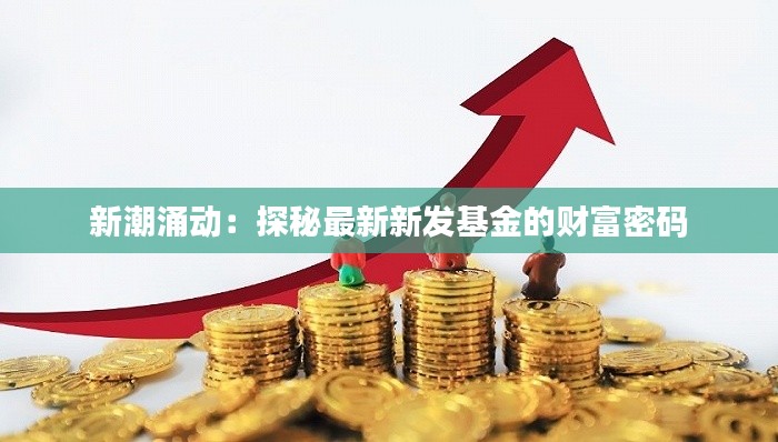 新潮涌动：探秘最新新发基金的财富密码