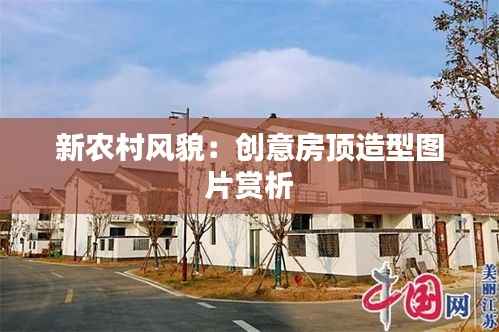 新农村风貌：创意房顶造型图片赏析