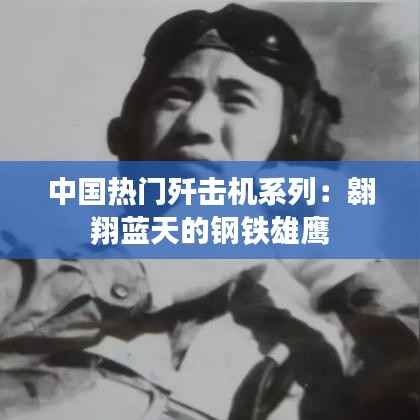 中国热门歼击机系列：翱翔蓝天的钢铁雄鹰