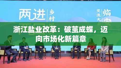浙江盐业改革：破茧成蝶，迈向市场化新篇章