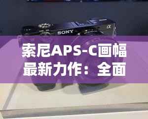 索尼APS-C画幅最新力作：全面解析索尼A6600的卓越性能与创新设计
