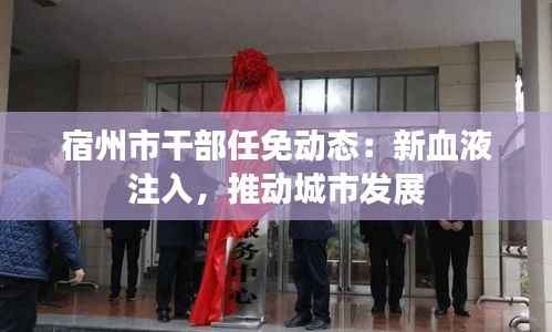 宿州市干部任免动态：新血液注入，推动城市发展