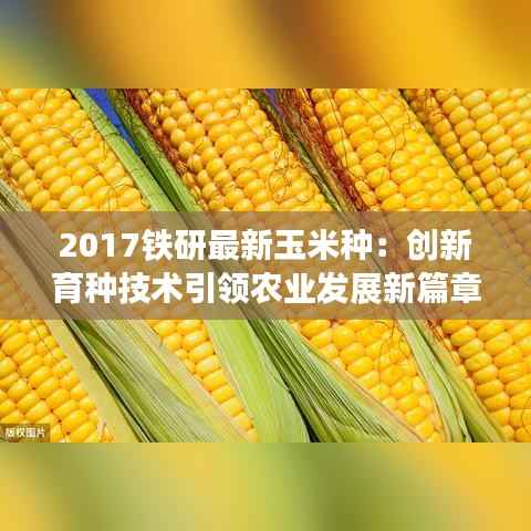 张狂妄行 第6页