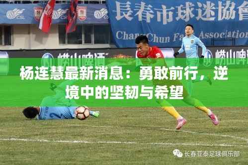 杨连慧最新消息：勇敢前行，逆境中的坚韧与希望