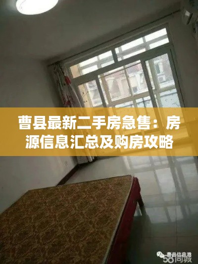 雍容典雅 第6页