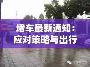 堵车最新通知：应对策略与出行建议