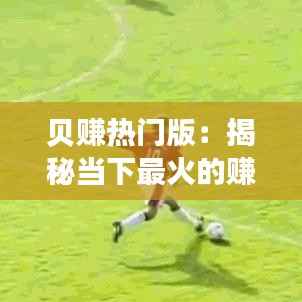 贝赚热门版：揭秘当下最火的赚钱平台