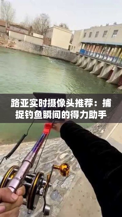 十全十美 第6页