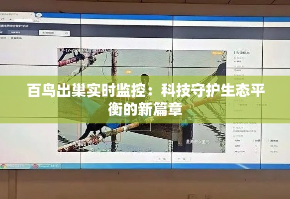 羊肠鸟道 第7页