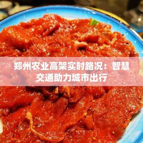 郑州农业高架实时路况：智慧交通助力城市出行