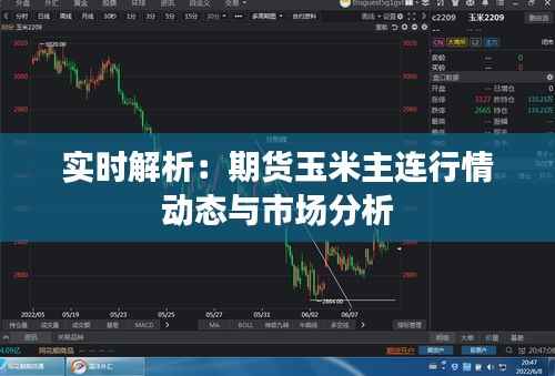 实时解析：期货玉米主连行情动态与市场分析