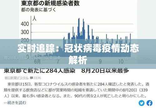 栖冲业简 第6页