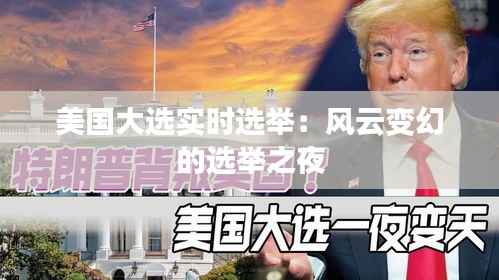 美国大选实时选举：风云变幻的选举之夜