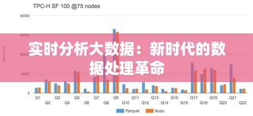 实时分析大数据：新时代的数据处理革命