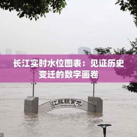 长江实时水位图表：见证历史变迁的数字画卷