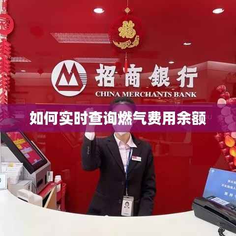 如何实时查询燃气费用余额