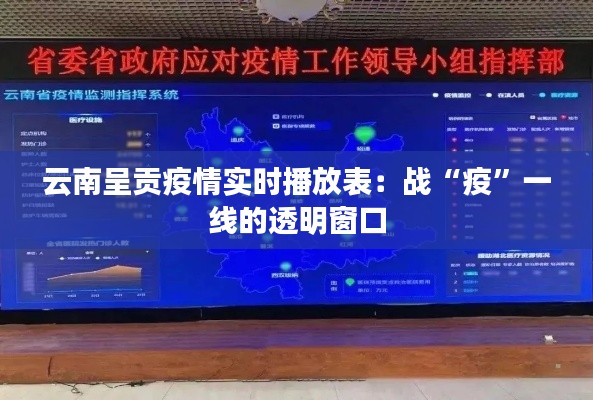 云南呈贡疫情实时播放表：战“疫”一线的透明窗口