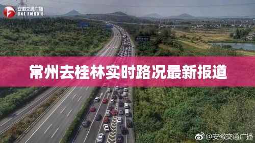 虚张声势 第6页