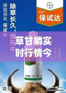 草甘膦实时行情今日解析：市场动态与投资策略