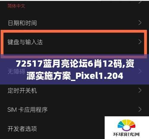 72517蓝月亮论坛6肖12码,资源实施方案_Pixel1.204