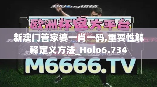 新澳门管家婆一肖一码,重要性解释定义方法_Holo6.734