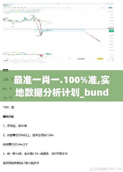 最准一肖一.100%准,实地数据分析计划_bundle10.793