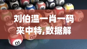刘伯温一肖一码来中特,数据解析计划导向_顶级版6.407