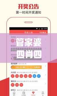 管家婆四肖四码精准,深入数据执行解析_pro10.379