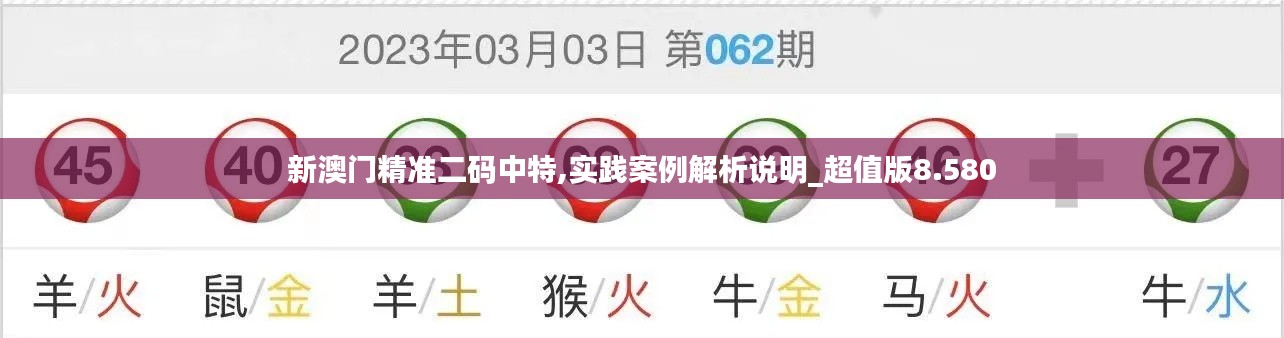 新澳门精准二码中特,实践案例解析说明_超值版8.580