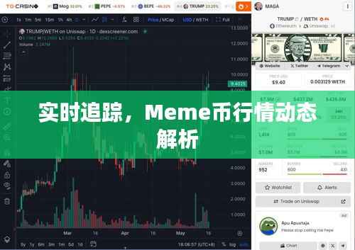 实时追踪，Meme币行情动态解析