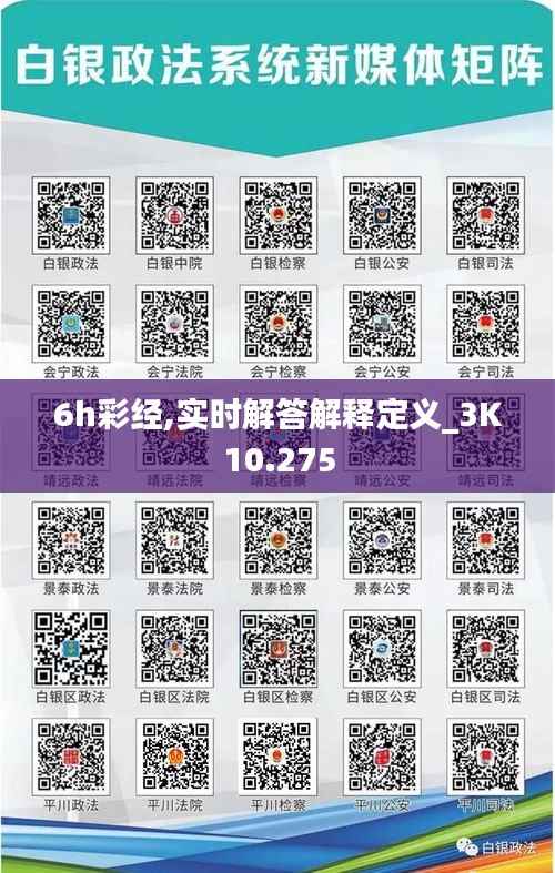 6h彩经,实时解答解释定义_3K10.275