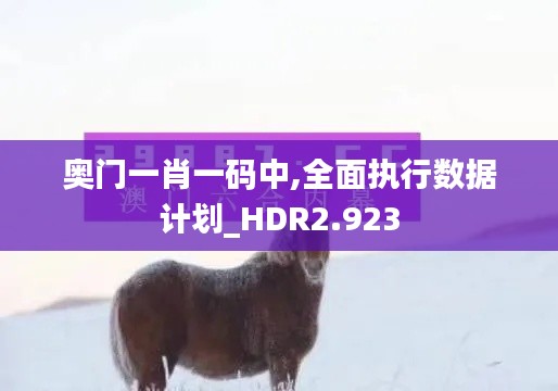 奥门一肖一码中,全面执行数据计划_HDR2.923
