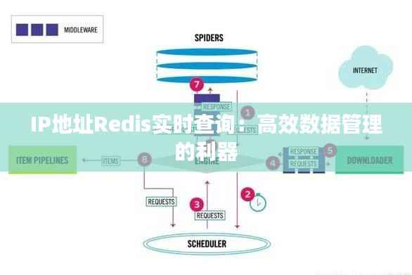 IP地址Redis实时查询：高效数据管理的利器
