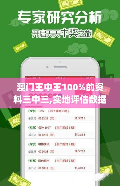 澳门王中王100%的资料三中三,实地评估数据策略_Nexus2.985