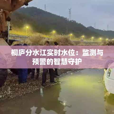 桐庐分水江实时水位：监测与预警的智慧守护