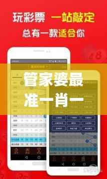 管家婆最准一肖一特,未来解答解析说明_XP11.676