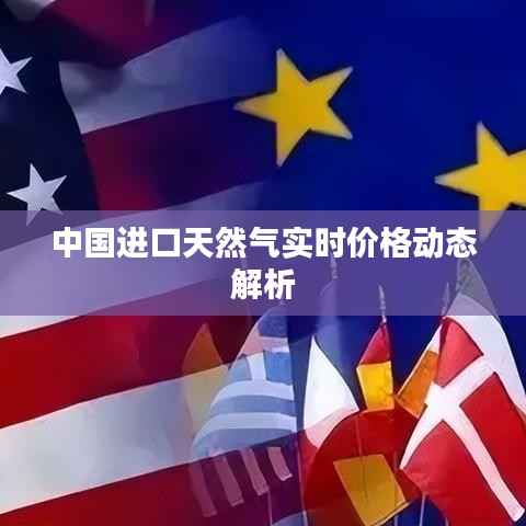 中国进口天然气实时价格动态解析