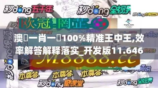 澳門一肖一碼100%精准王中王,效率解答解释落实_开发版11.646