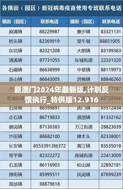新澳门2024年最新版,计划反馈执行_特供版12.916