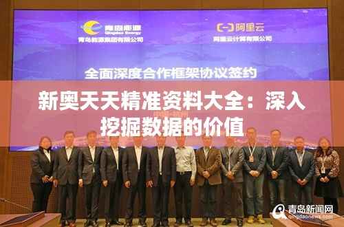 新奥天天精准资料大全：深入挖掘数据的价值