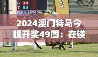 2024澳门特马今晚开奖49图：在镁光灯下捕捉赛马的灵魂