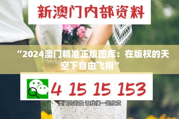 “2024澳门精准正版图库：在版权的天空下自由飞翔”