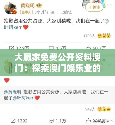 大赢家免费公开资料澳门：探索澳门娱乐业的致富之道