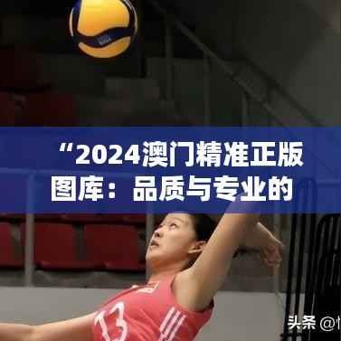 “2024澳门精准正版图库：品质与专业的体现”