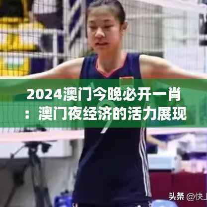 2024澳门今晚必开一肖：澳门夜经济的活力展现