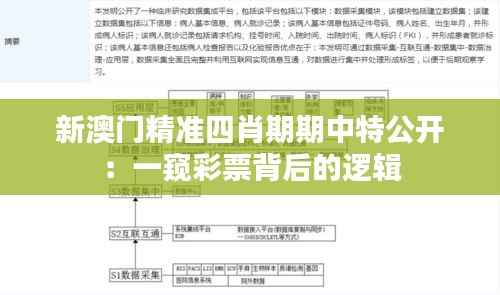 新澳门精准四肖期期中特公开：一窥彩票背后的逻辑