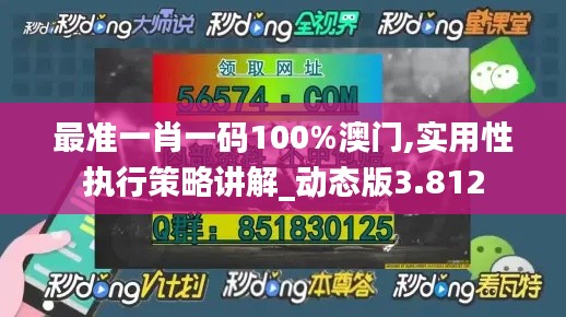 最准一肖一码100%澳门,实用性执行策略讲解_动态版3.812